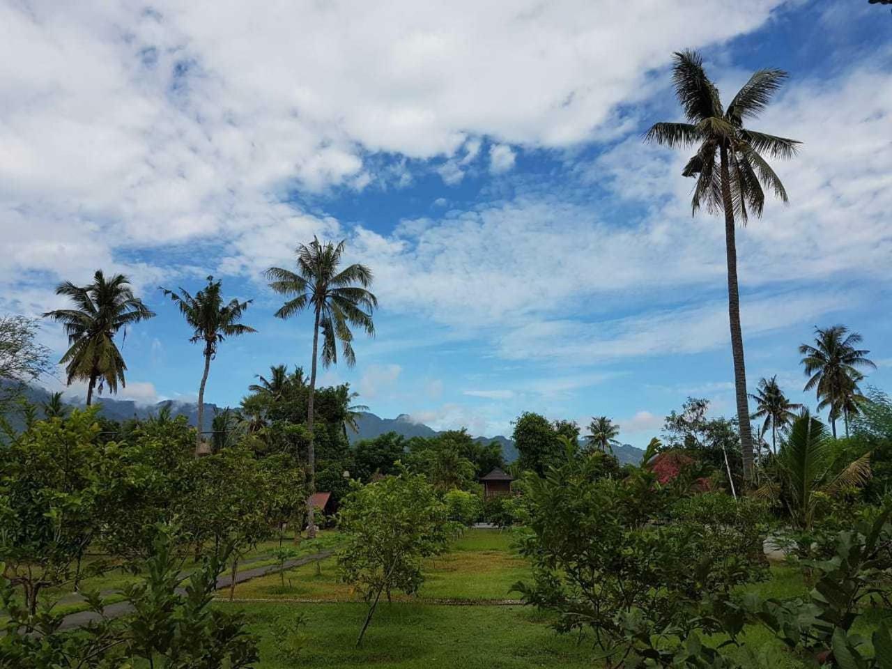 Buana Ecofarm Ecolodge Grokgak Luaran gambar