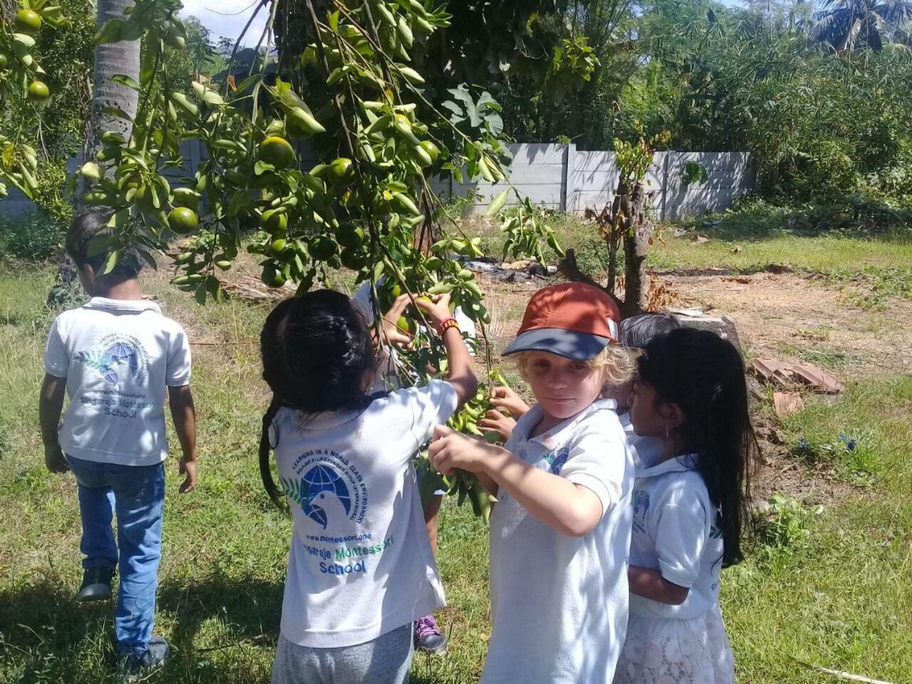Buana Ecofarm Ecolodge Grokgak Luaran gambar
