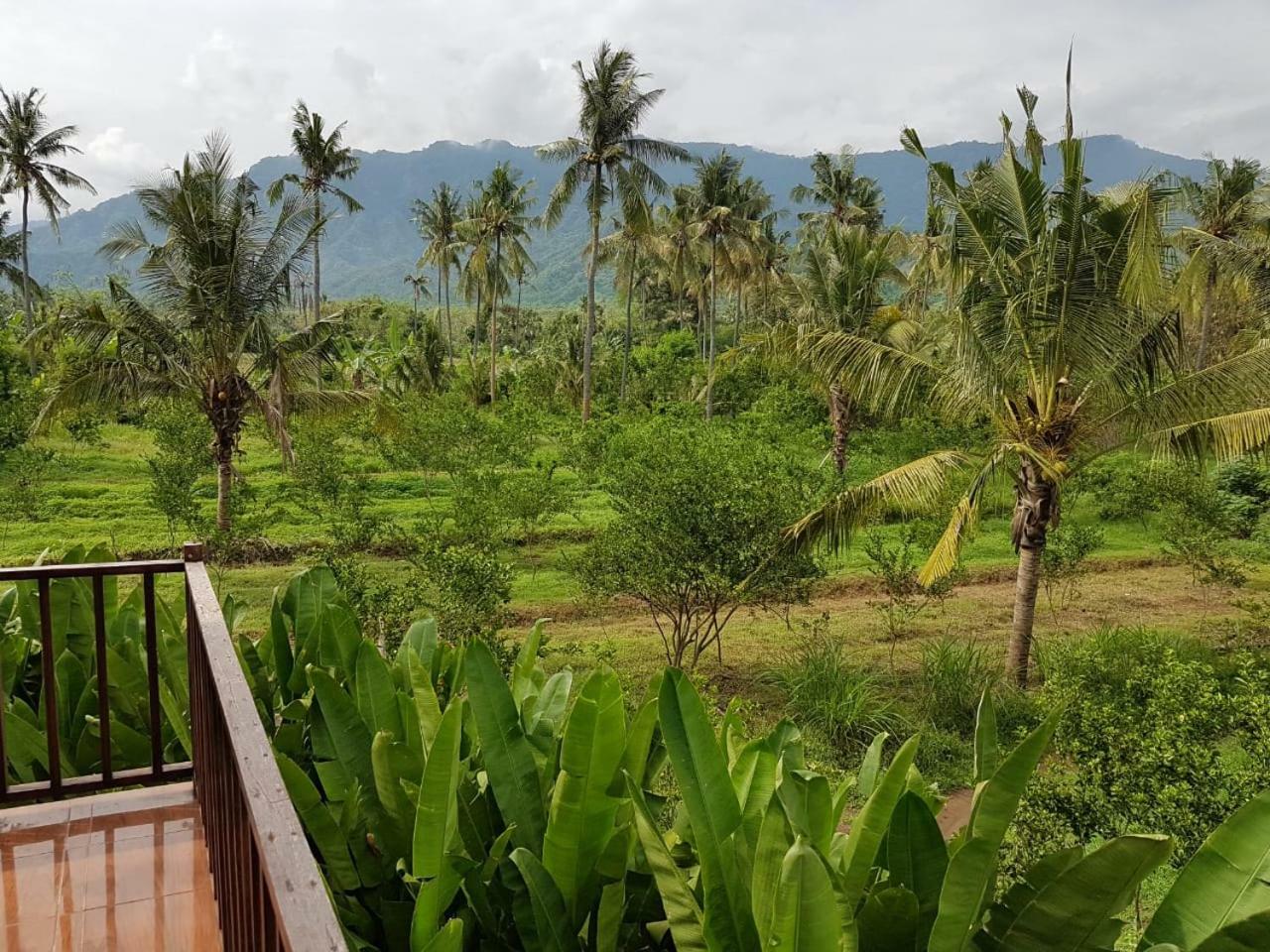 Buana Ecofarm Ecolodge Grokgak Luaran gambar