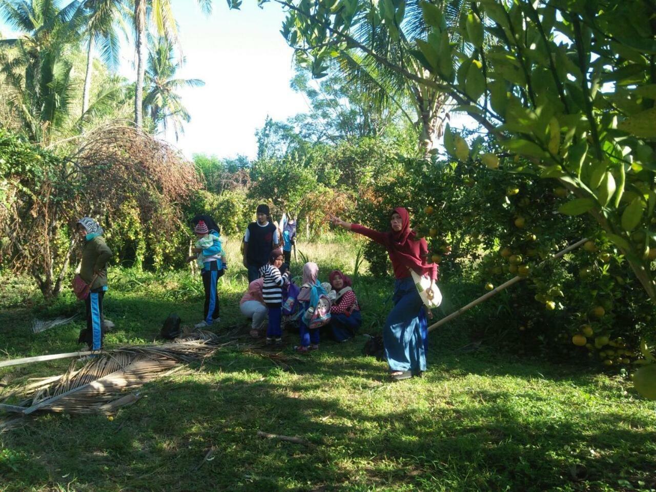 Buana Ecofarm Ecolodge Grokgak Luaran gambar