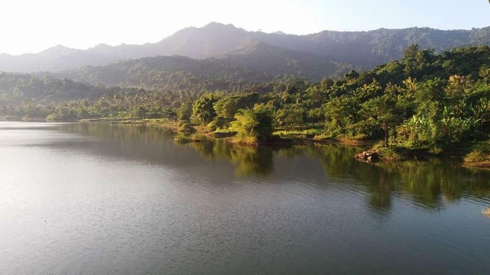 Buana Ecofarm Ecolodge Grokgak Luaran gambar