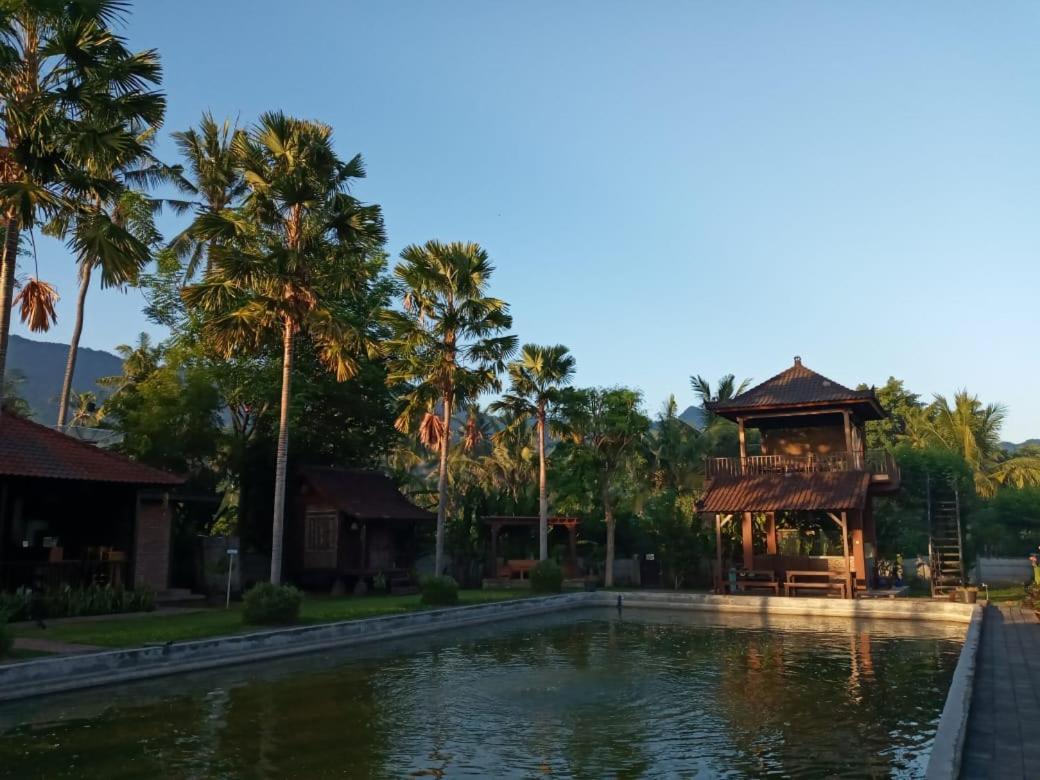 Buana Ecofarm Ecolodge Grokgak Luaran gambar
